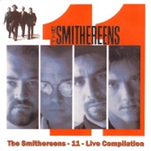 The Smithereens - A Girl Like You (The Roxy, LA 12/17/91]