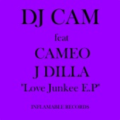 DJ Cam - Love Junkee