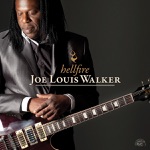 Joe Louis Walker - Hellfire