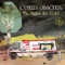 The Sweetest Thing (Richard Hawley Remix) - Camera Obscura lyrics