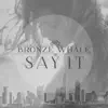 Say It - Single album lyrics, reviews, download