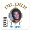 Bitches Ain't S*** - Dr. Dre Cover Art