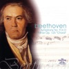 Beethoven - Symphony No. 9 in D minor, op. 125