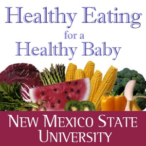 Healthy Eating for a Healthy Baby - English/Spanish cover