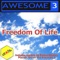 Freedom of Life (Placidic Dream Remix) - Awesome 3 lyrics