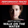 Walk On the Water (Performance Tracks) - EP, 2010