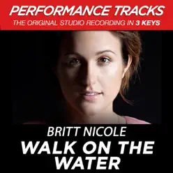 Walk On the Water (Performance Tracks) - EP - Britt Nicole