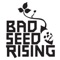 Dark Before the Dawn - Bad Seed Rising lyrics