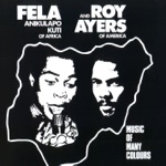 Fela Kuti - 2000 Blacks Got to be Free (feat. Roy Ayers)