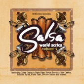 Salsa World Series Volume 5 artwork