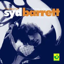 Wouldn't You Miss Me? - The Best of Syd Barrett - Syd Barrett