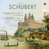 Symphony No. 7 in B Minor, D 759: II. Andante con moto artwork