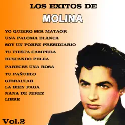 Los Éxitos de Molina, Vol. II - Antonio Molina