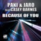 Because of You (feat. Casey Barnes) - Single