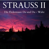 Die Fledermaus: Du und Du, Op. 367 - Waltz artwork