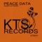 Alien Resonator II (In'R'Voice Remix) - Peace Data lyrics