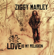 Beach In Hawaii - Ziggy Marley
