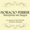 Canción de Mi Adolescencia - Horacio Ferrer lyrics