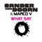What Say (Original Mix) - Sander van Doorn & Marco V lyrics