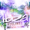 Ibiza Feelings, Vol. 4 - Deep House Rhythms