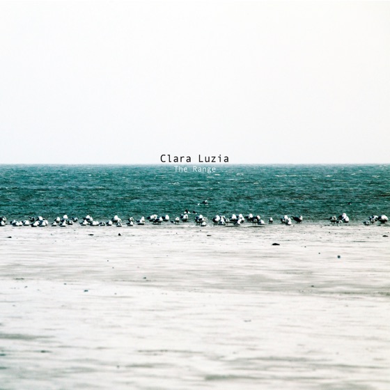 Cover artwork for Queen of the Wolves