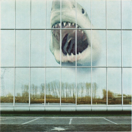 Cover artwork for Sadie
