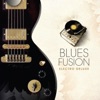 Blues Fusion - Electro Deluxe, 2013