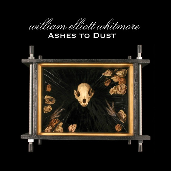 Cover artwork for Porchlight