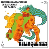 Recuerdos Garrapateros de la Flama y el Carril artwork