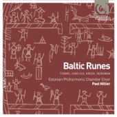 Baltic Runes artwork
