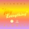My Everything - Diamond Lights lyrics