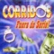 Droga y Mas Droga - Los Caballeros del Norte lyrics