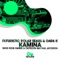 Kamina (Paul Jacobson Remix) - Futuristic Polar Bears lyrics