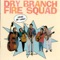 A Pitiful Thing - Dry Branch Fire Squad lyrics
