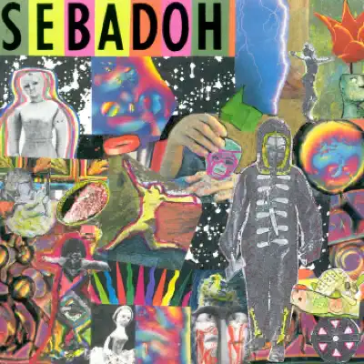 Smash Your Head on the Punk Rock - Sebadoh