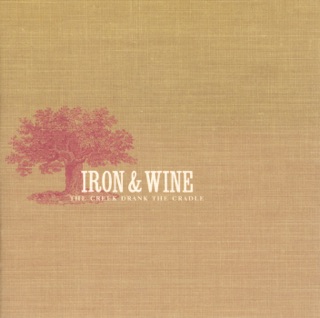 Flightless Bird American Mouth Single By Iron Wine On Apple Music