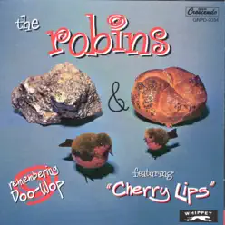 Rock & Roll - The Robins