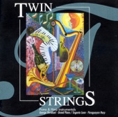 Twin Strings artwork