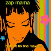 Zap Mama - Nostalgie Amoureuse (Push It to the Max Bootleg Mix)