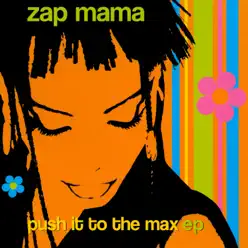 Push It to the Max - EP - Zap Mama