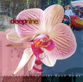 Flowers On the Dirt Road Home