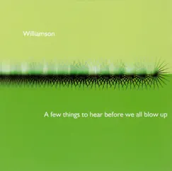 A Few Things to Hear Before We All Blow Up by Williamson album reviews, ratings, credits