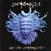 Shpongle - And the Day Turned to Night
