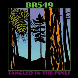 Tangled in the Pines - Br5-49