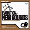 Evolution of New Sounds, 2004