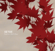 Somewhere Only We Know - Keane