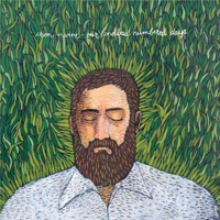 Iron & Wine - Our Endless Numbered Days artwork