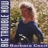 Barbara Cecil - What Kind of Fool
