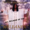 Wyleaner - Jesus Is the Reason for the Season (christmas)