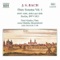 Sonata for Flute and Harpsichord in E Flat Major, BWV1031, I. Allegro Moderato artwork